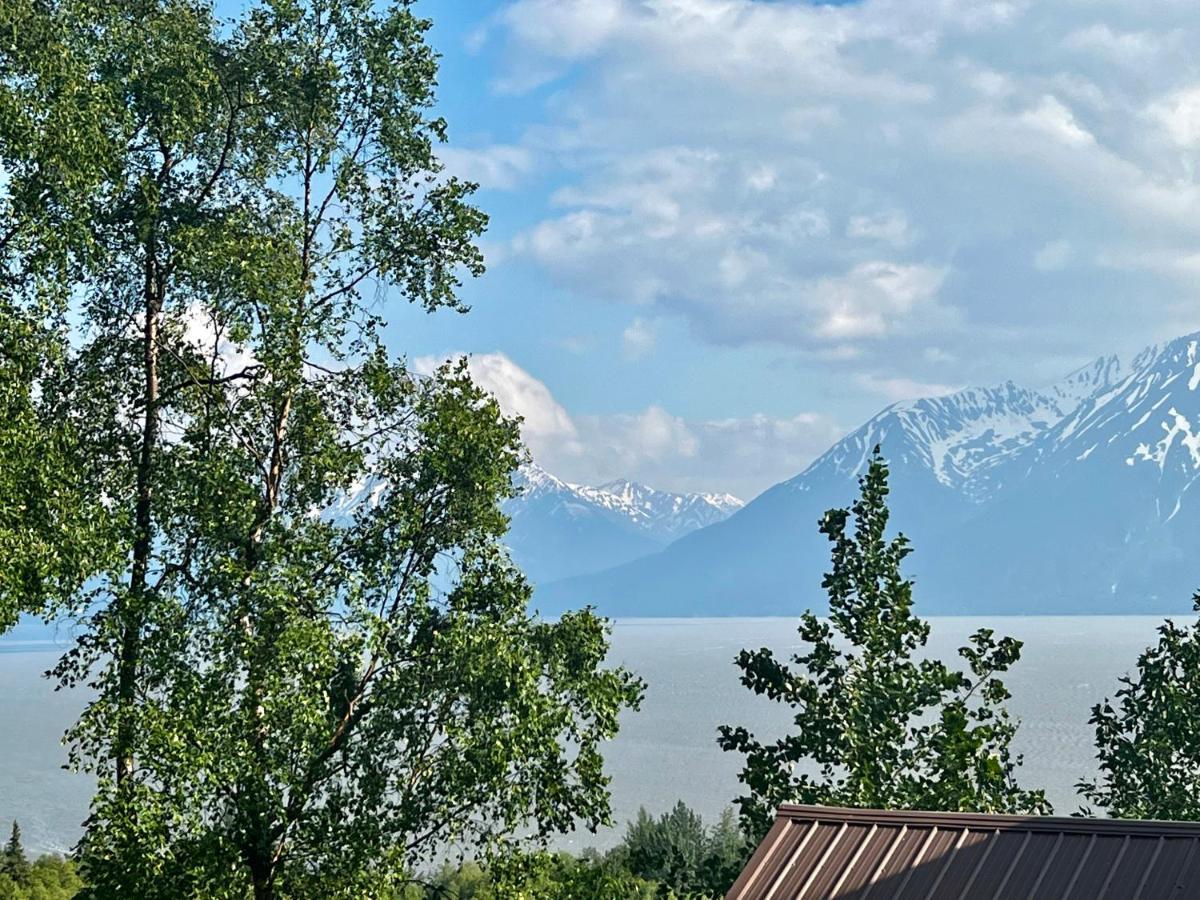 Indian Ak 25 Min To Anchorage & 25 Min To Girdwood Villa Buitenkant foto