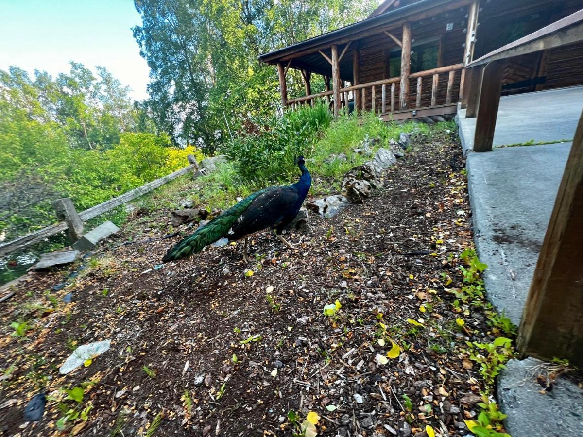 Indian Ak 25 Min To Anchorage & 25 Min To Girdwood Villa Buitenkant foto